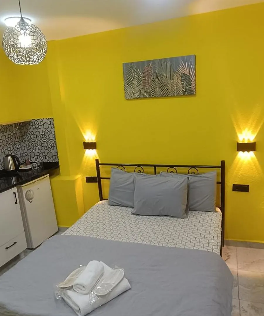 이스탄불 Taksim Academie House 아파트 호텔 0*,